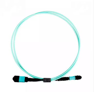 OM4 MM  LSZH optic fiber suppliers MPO to MPO trunk cable Fiber optic patch cord  12 core MPO patch cord