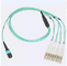 MPO/MTP SM Male and Female MPO patch cord Connector
