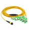 MPO To FC Fiber Optic Jumper 12 Fiber OM4 2.0mm Fiber Optic Patch Cord
