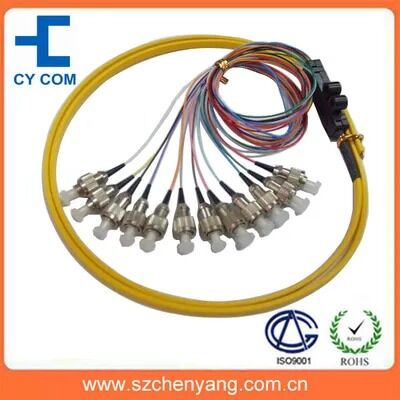 FC/SC/ST 12 Core Ribbon Packaging Fiber Optic Pigtail (Παραθυροειδές από οπτικές ίνες)